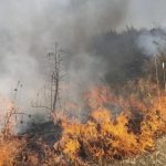 Gənclər və idman nazirinin müavini BMT-nin forumuna qatılıb